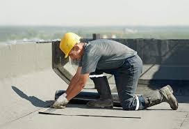 Best Roof Moss and Algae Removal  in West Pasco, WA